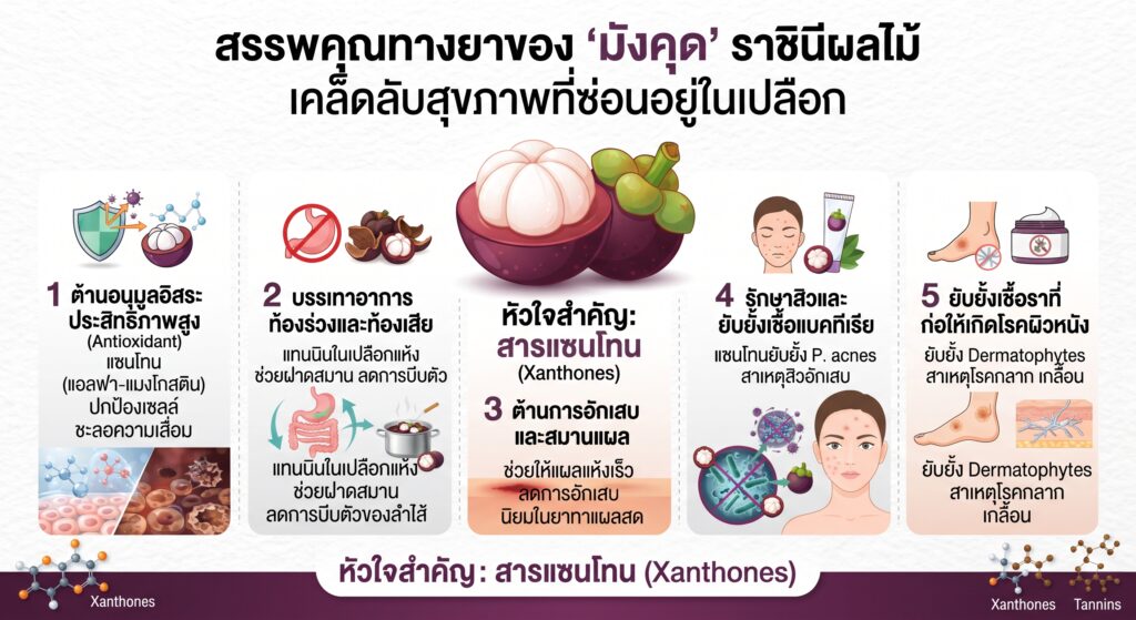 คล็ดลับสุขภาพที่ซ่อนอยู่ในเปลือก