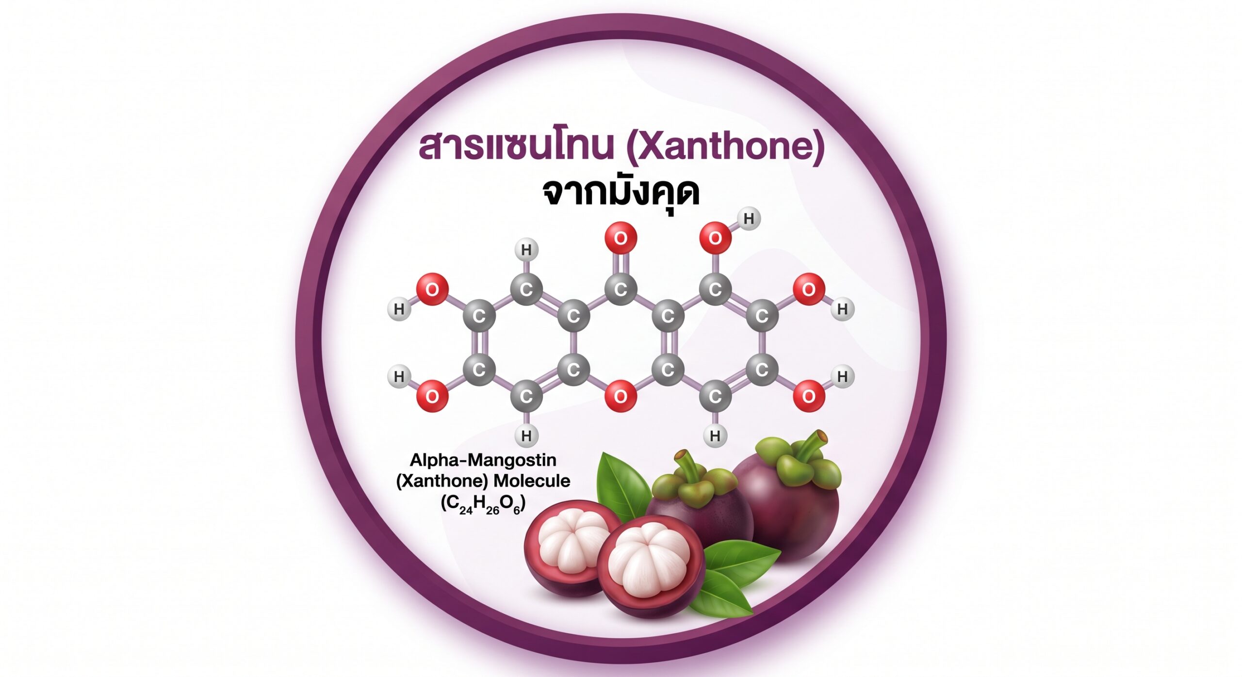 มังคุด